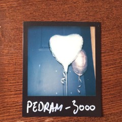 Pedram 3000 EP