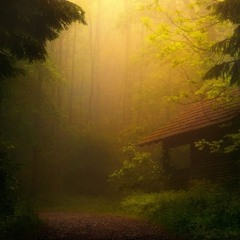 Brodinski Feat. Louisahhh! - Nobody Rules The Streets (VINNE VIP)