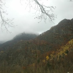 麓 - Compost : Medley