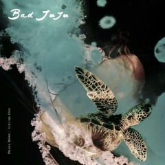 u p  i n  t h e  l a b