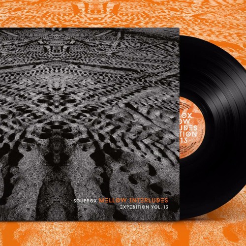 Reasons (EXPEDITion Vol. 13 - Mellow Interludes LP)