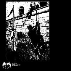 LDR 215 Egomorph - Undead (Original Mix) preview