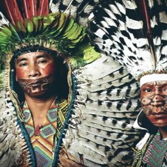 Medicine Song 9 Ninawa Pai Da Mata And Txana Ikakuru  HuniKuin Kaxinawà