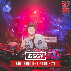 BIG NIGHT RADIO EPISODE #1 BY DJ ZIGGY