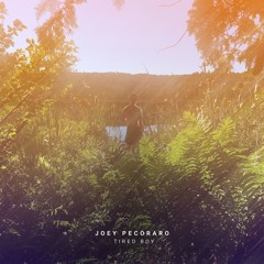 Joey Pecoraro - Fairy Tale