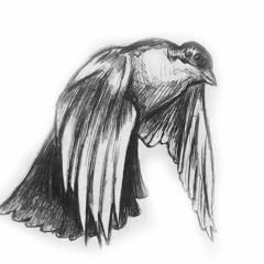 romevice-married to the game freestyle