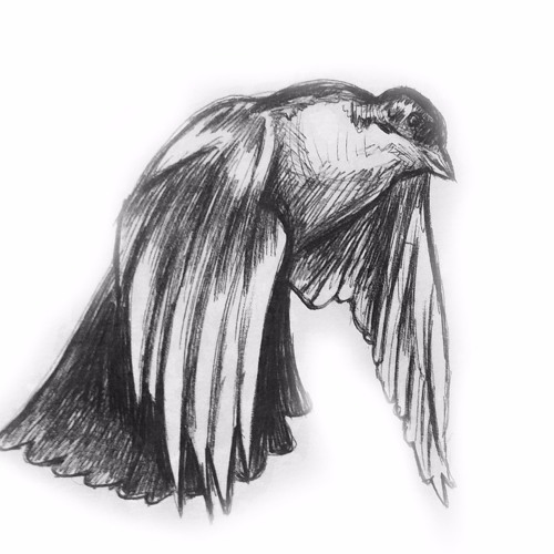 romevice-married to the game freestyle