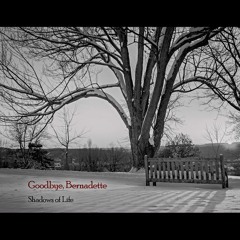Goodbye, Bernadette