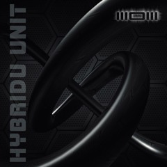 Hybrid Unit (Original Mix)