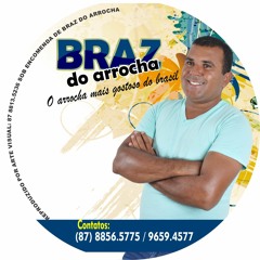 12 Minha Vida Sem Ela...braz Do Arrocha