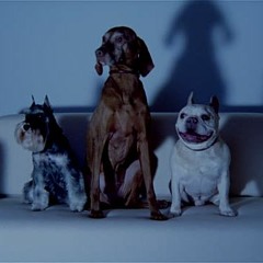 EPISODE TWO - ANIMATRONIX