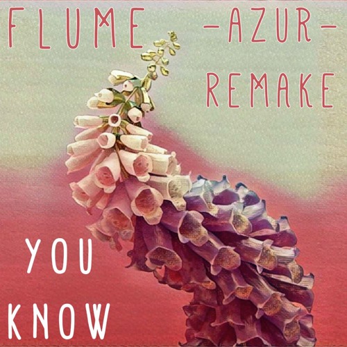 flume - you know (azr remake)