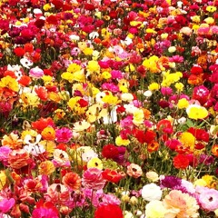 Wilhelm Ljung - Make me feel