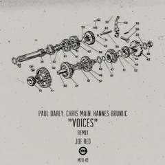 Hannes Bruniic & Paul Darey & Chris Main - Voices (Original Mix)