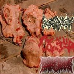 DEMISOR - Raised in Misery