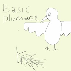 Basic Plumage (Wou-Wou Open Collab)