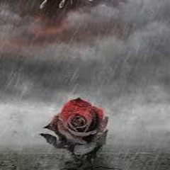 Somebody X Guddakidd