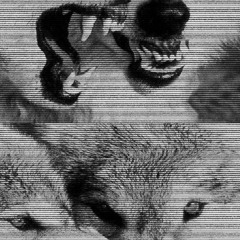 Wolfie (Prod. Johnny Burnaway)