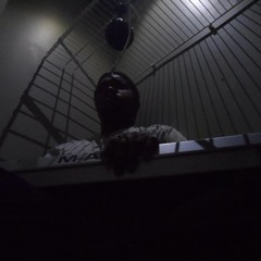 Gravity Ft. ProCon (Remastered)