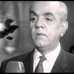 ساكن في حي السيدة -محمد عبد المطلب