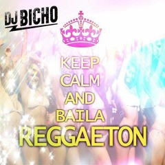BAILA REGGAETON [DJ BICHO 17']