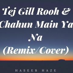 Haseeb Haze - Tej Gill Rooh & Chahun Mein Ya Na (Remix/Cover)