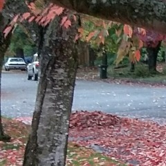 Standing Outside a Broken Phone Booth
