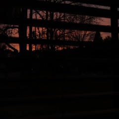 the pellys - tentative old ways (demo)