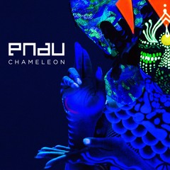 Chameleon (Nath Jennings Bootleg) - Pnau *NEW HQ DL BELOW*