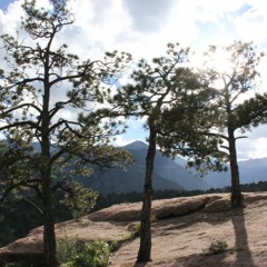 SoundsFromTheSacredTree-#2-Mand<>lorian