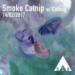 Smoke Catnip w/ Catbug - 14/02/2017