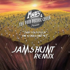 Moby & The Void Pacific Choir - Are You Lost In The World Like Me (Jamshunt Remix)