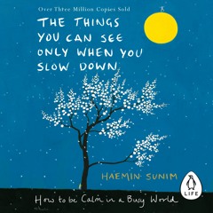 The Things You Can See Only When You Slow Down By Haemin Sunim(Audiobook Extract) Read By Sean Pratt