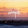 Mammals Chase&#x20;Your&#x20;Bliss Artwork
