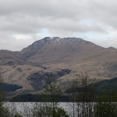 Stream The Grass isn't Always Greener Demo by Leomarsden | Listen ...