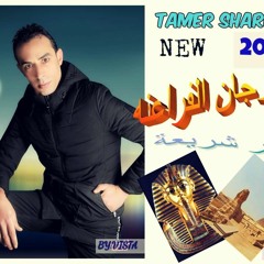 تامر شريعه مهرجان الفراعنه الحان حماه ابو السعود جديد2017 tamersharea new2017