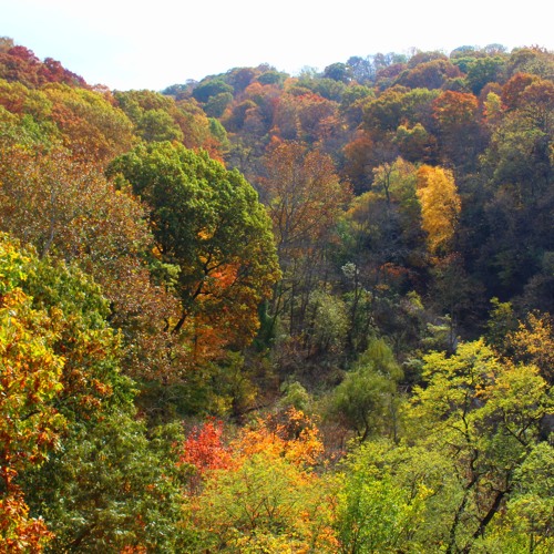 تلاوة خاشعة من سورة النمل ياسر الدوسري ( قل الحمدلله وسلام على عباده الذين اصطفى )