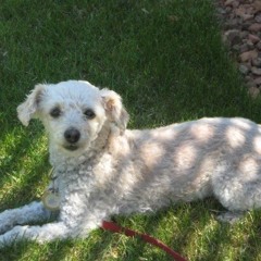 Unortodox The start - 2017-02-23, 9.32 AM