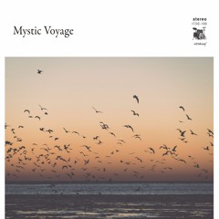 Tomoya Naka "Moonlight Arpeggio"