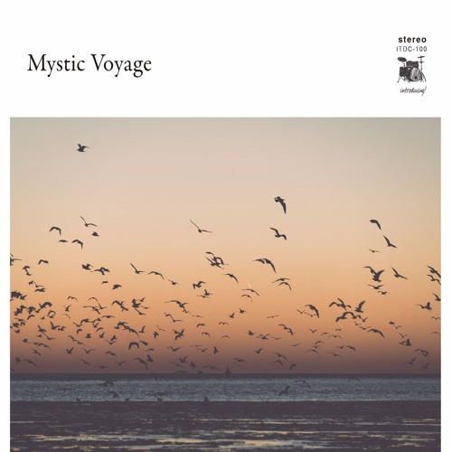 Tomoya Naka "Moonlight Arpeggio"