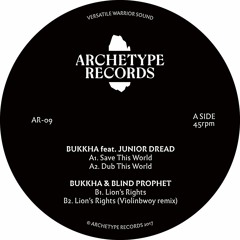 AR09 -Save This World / Dub This World - Bukkha feat. Junior Dread