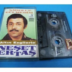 Neşet Ertaş - Su Gelir Millendirir