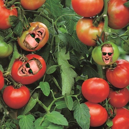 Tomatenplukkers (DJ Tool) [FREE RELEASE]