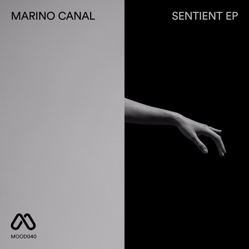Marino Canal - Fragment Preview