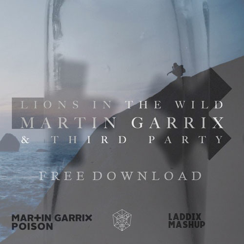 Martin Garrix & Third Party - Poison vs. Lions In The Wild (Laddix Mashup)  by laddix - Free download on ToneDen