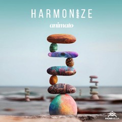 Animato & Liquid Soul - Hope For Life