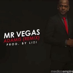 Mr Vegas - Adamis (Tetris Riddim By LIZI)