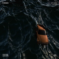 AT SEA