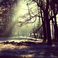 2.23 prod. by @1bompadre x @DDenzei