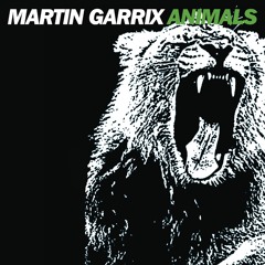 Martin Garrix - Animals - Guitar Cover